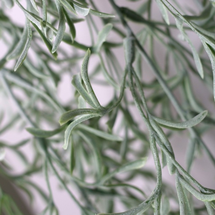 PENDENTE SUCCULENTA CM147